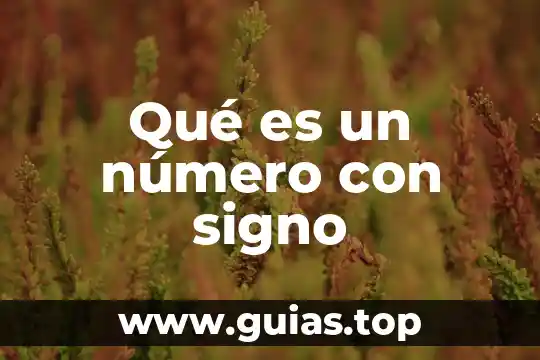 Que es circuito del computooperadovias redes 5 Qué es un número con signo