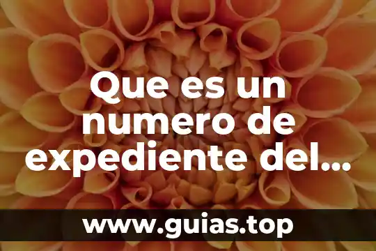 Qué es el número de muestras 7 Que es un numero de expediente del cona