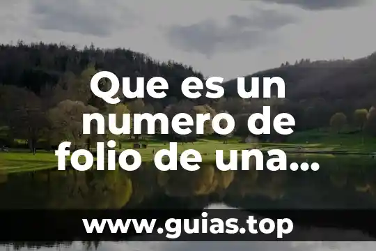 Qué es el número de habitantes por kilómetro cuadrado 8 Que es un numero de folio de una pre fiha