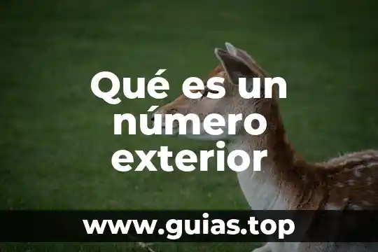 Que es transfer en comercio exterior 7 Qué es un número exterior