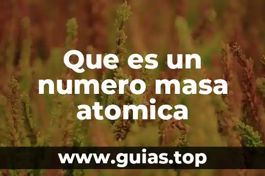 Qué es el número de apertura 3 Que es un numero masa atomica