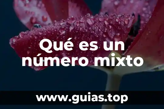 Que es y como funciona blockchain 8 Qué es un número mixto