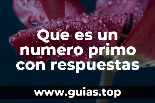 Que es el inconsciente yahoo respuestas 5 Que es un numero primo con respuestas