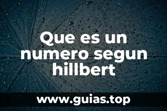 Qué es el número de exportador autorizado 3 Que es un numero segun hillbert