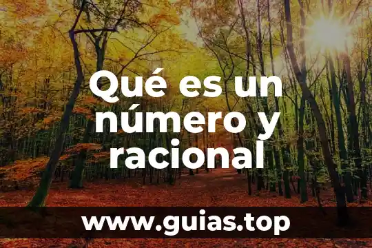 Que es el calculo racional 3 Qué es un número y racional