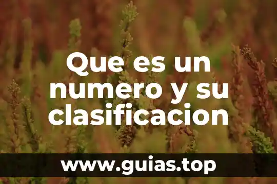 Número de cuenta predial que es 4 Que es un numero y su clasificacion