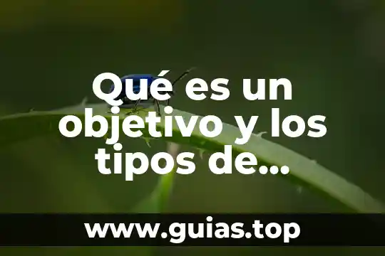 Que es objetivos o propósitos de una tesis 7 Qué es un objetivo y los tipos de objetivos