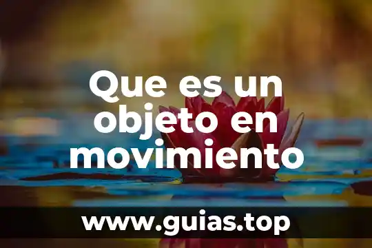 Qué es dinanometro en psicología 7 Que es un objeto en movimiento