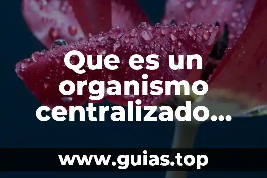 Que es el pensamiento cientifico segun einstein 4 Que es un organismo centralizado segun el dof