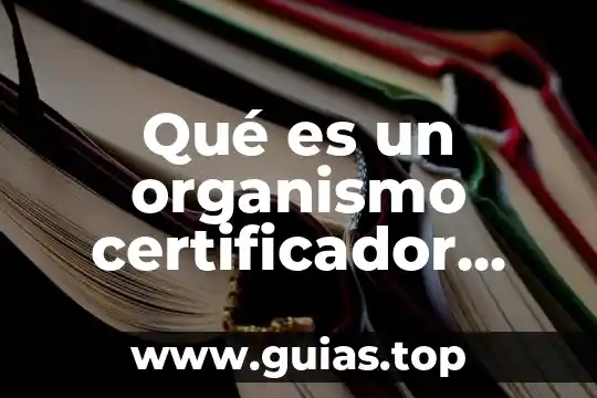 Qué es un organismo certificador secundario en equipo