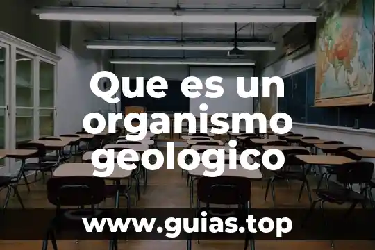 Que es el modelo geologico 3 Que es un organismo geologico