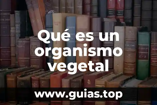 Qué es la diabetes y qué alteraciones causa al organismo 4 Qué es un organismo vegetal