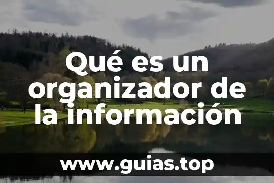 Qué es un organizador gráfico y cuántos tipos existen 3 Qué es un organizador de la información