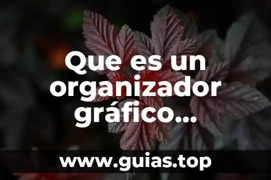 Qué es un organizador gráfico y cuántos tipos existen 7 Que es un organizador gráfico adecuado