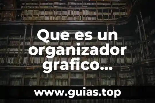 Qué es un organizador gráfico y cuántos tipos existen 4 Que es un organizador grafico resumen