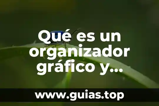 Que es un organizador gráfico adecuado 3 Qué es un organizador gráfico y cuántos tipos existen