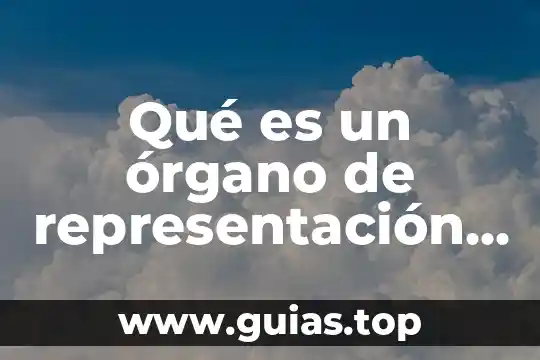 Que es organo aparato y sistema 3 Qué es un órgano de representación gremial