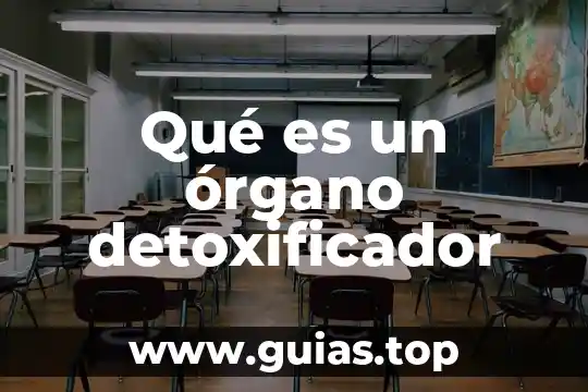 Qué es un órgano de representación gremial 5 Qué es un órgano detoxificador