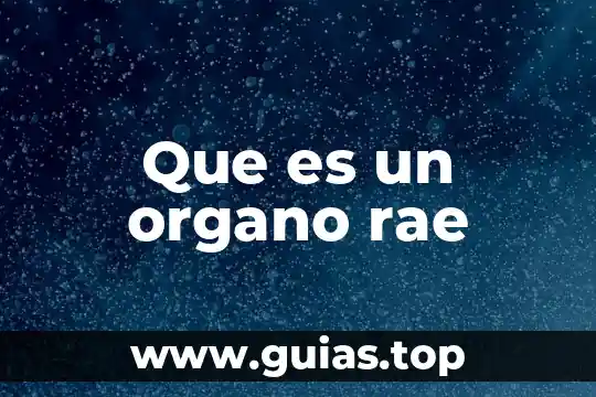 Qué es un órgano de representación gremial 3 Que es un organo rae