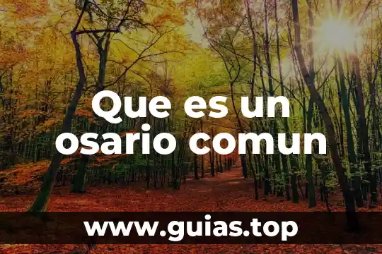 Qué es un nombre propio y común 8 Que es un osario comun
