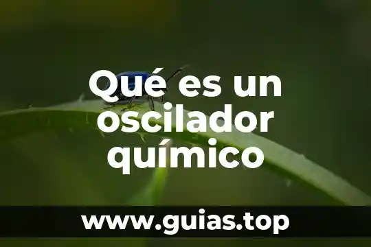 Qué es un principio físico químico 3 Qué es un oscilador químico