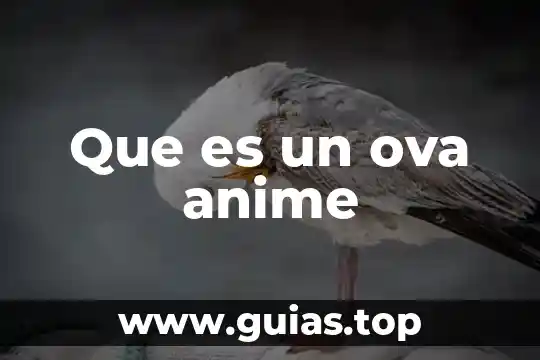 Que es gender bender anime 6 Que es un ova anime