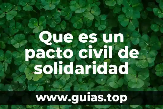 Que es el pacto fiscal en jalisco 4 Que es un pacto civil de solidaridad