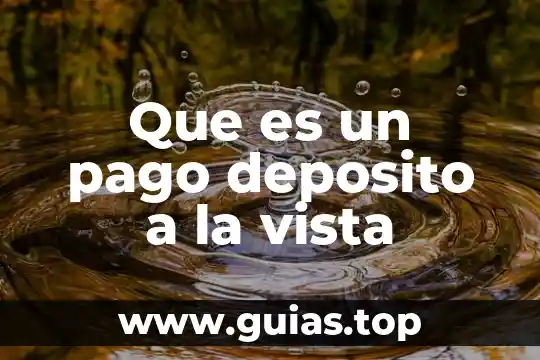 Que es la papeleta de deposito concepto 6 Que es un pago deposito a la vista