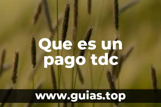 Cfdi complemento de pago que es 7 Que es un pago tdc