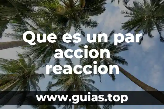 Que es un par accion reaccion