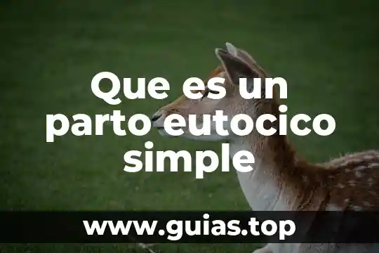 Que es sala de parto 5 Que es un parto eutocico simple