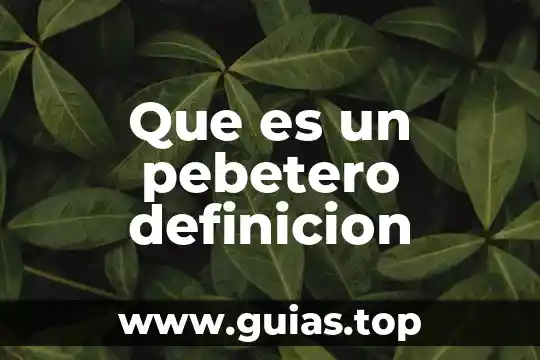 Que es la definición de un reglamento 8 Que es un pebetero definicion