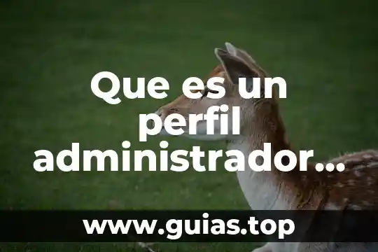 Que es un administrador rafael castillo y cruz 7 Que es un perfil administrador de facebook