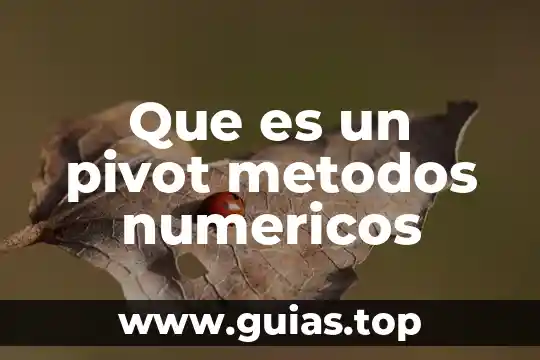 Qué es un senso en métodos numéricos 3 Que es un pivot metodos numericos