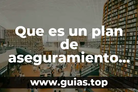 Que es el plan unico 8 Que es un plan de aseguramiento de la calidad