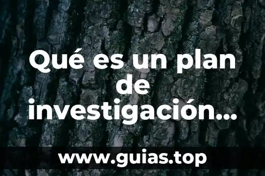 Que es la investigación de proveedores nacionales y extranjeros 7 Qué es un plan de investigación provisorio