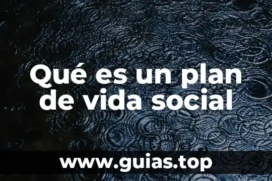 Qué es vida frenética 4 Qué es un plan de vida social