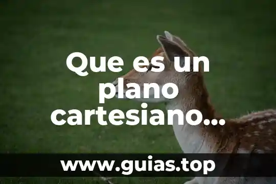 Qué es un número primo sexto grado 4 Que es un plano cartesiano pata sexto de primaria