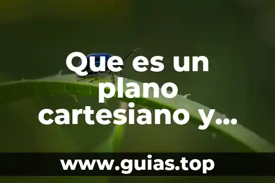 Cruz verde que es mexico 5 Que es un plano cartesiano y para que se usa
