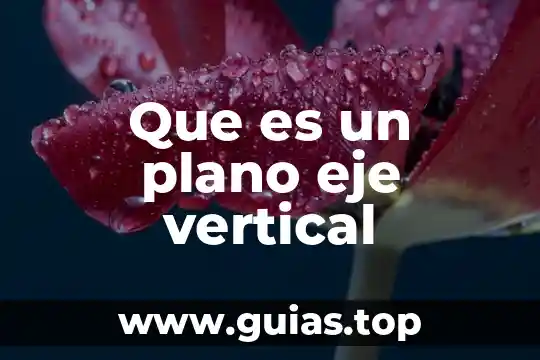 Que es eje de comunicación 5 Que es un plano eje vertical