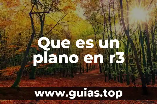 Que es el plano cortesino 4 Que es un plano en r3