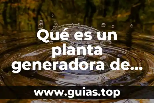 Clase de planta que es el aloe 3 Qué es un planta generadora de electricidad