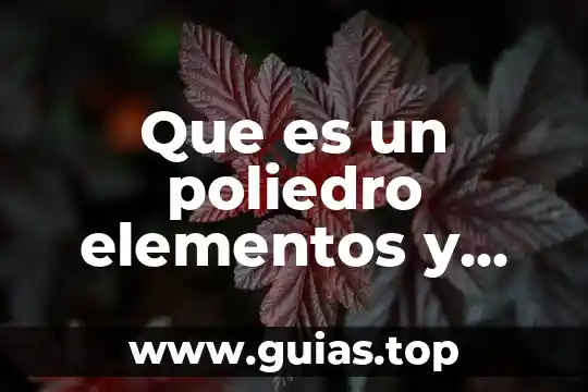 Que es un equidna animal 7 Que es un poliedro elementos y clasificacion