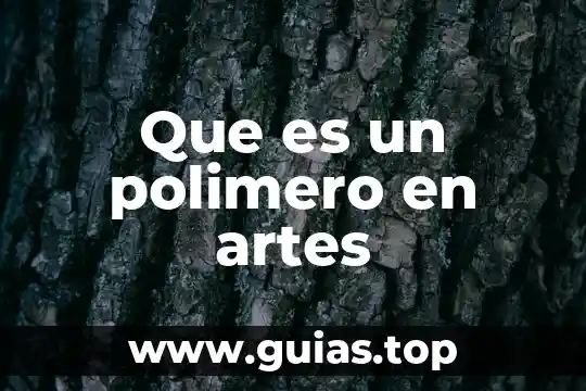 Que es un polimero y tipos 3 Que es un polimero en artes