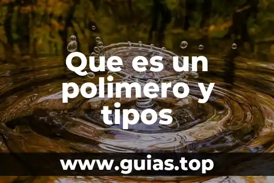 Que es la celula polimero 3 Que es un polimero y tipos