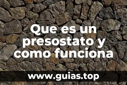 Que es el coral una planta o un animal 6 Que es un presostato y como funciona