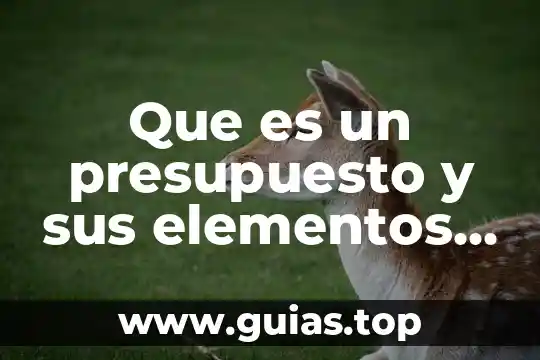 Que es el concepto de presupuesto 5 Que es un presupuesto y sus elementos slideshare
