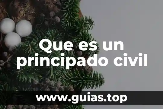 Que es la lejía planta 4 Que es un principado civil