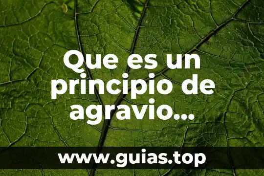 Qué es un principio en un documento 5 Que es un principio de agravio personal y directo