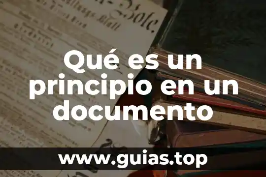 Que es un principio sometido en derecho 7 Qué es un principio en un documento